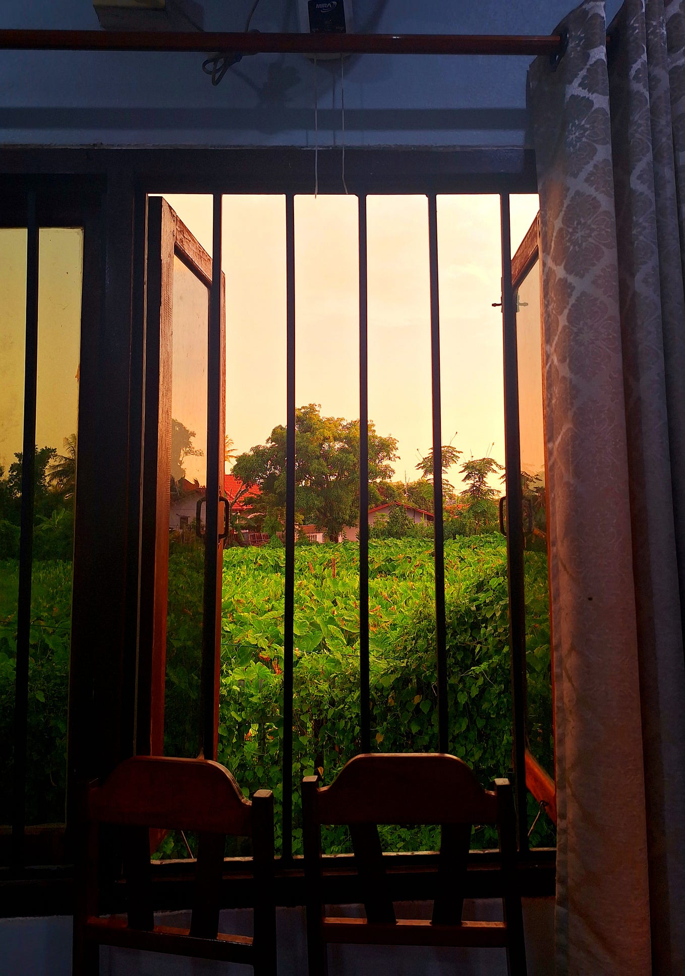 Grace Boor Onlyfans: Beyond The Headlines - g83b3pr