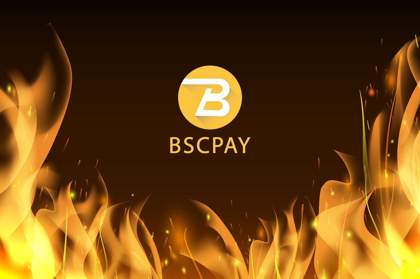 🔥 1,000,000 $BSCPAY tokens are burned (3rd burn event)