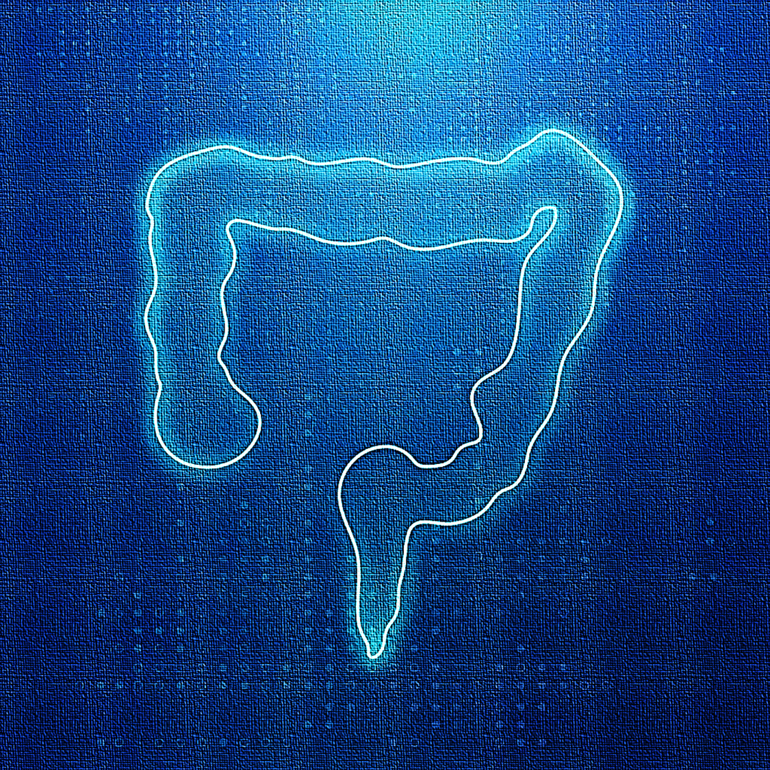 Why I Stopped Pursuing Gut Microbiota Research As An Academic