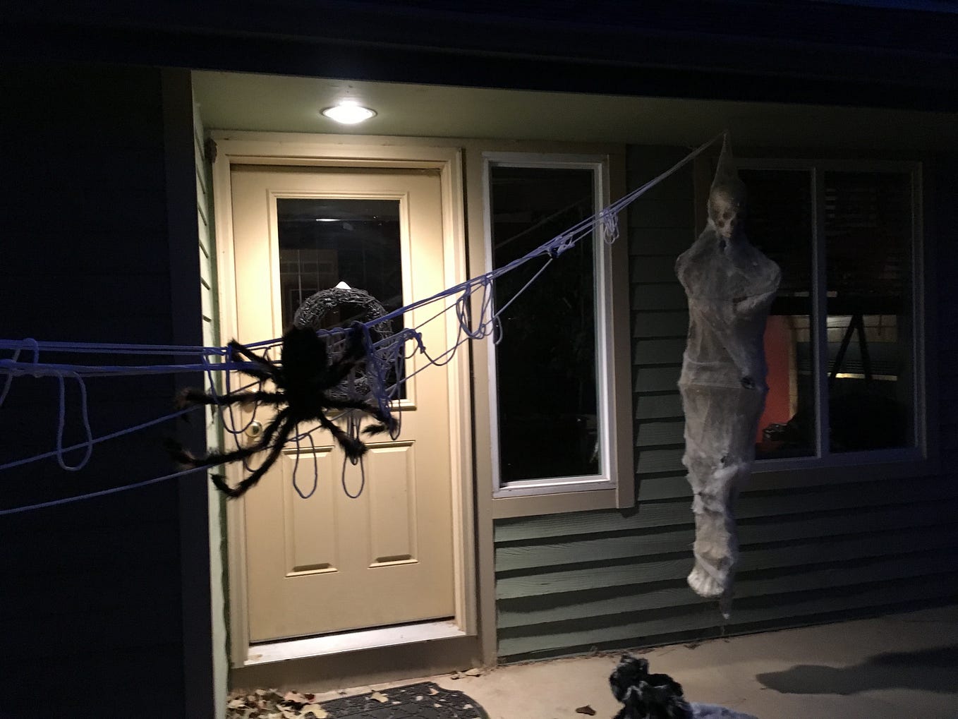 These lyrics were inspired by the new tarantula species Aphonopelma