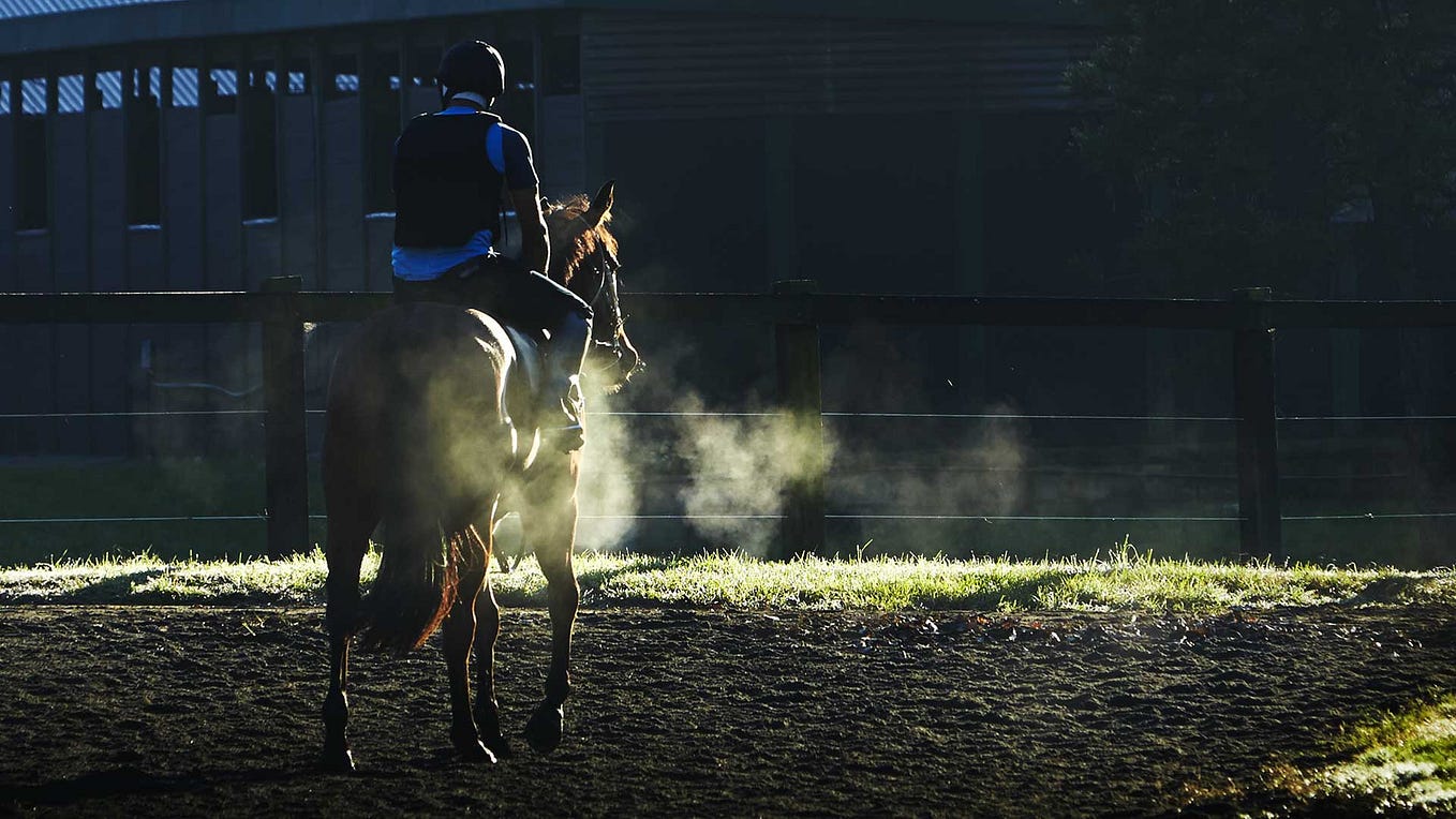 Muskoka Farm Horse Training NSW. Located in Gunderman, NSW, on the