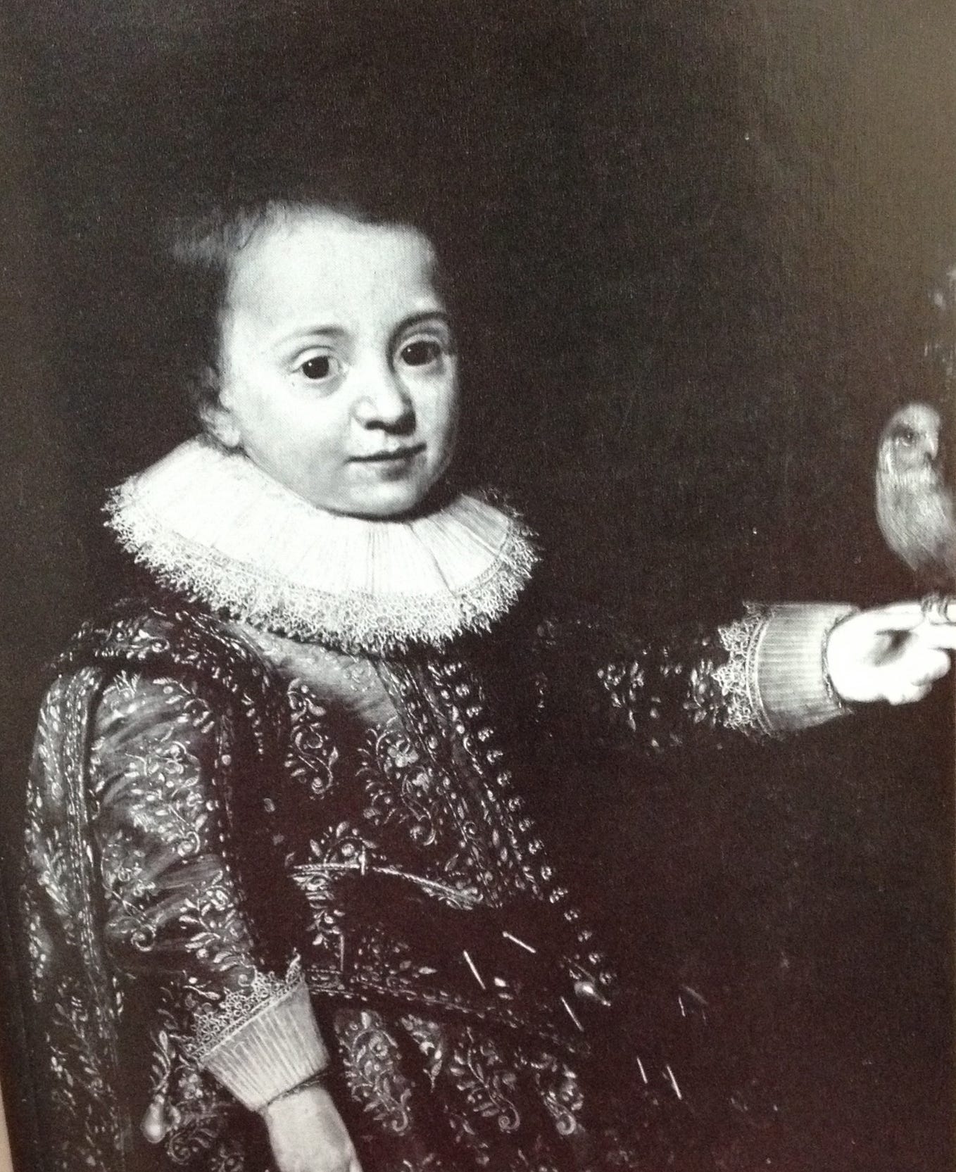 Crippen Cove. The liberation of a printing press and… by The Optimist Medium