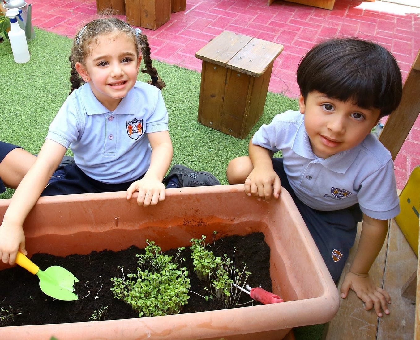 Best schools in dubai mileydavis medium