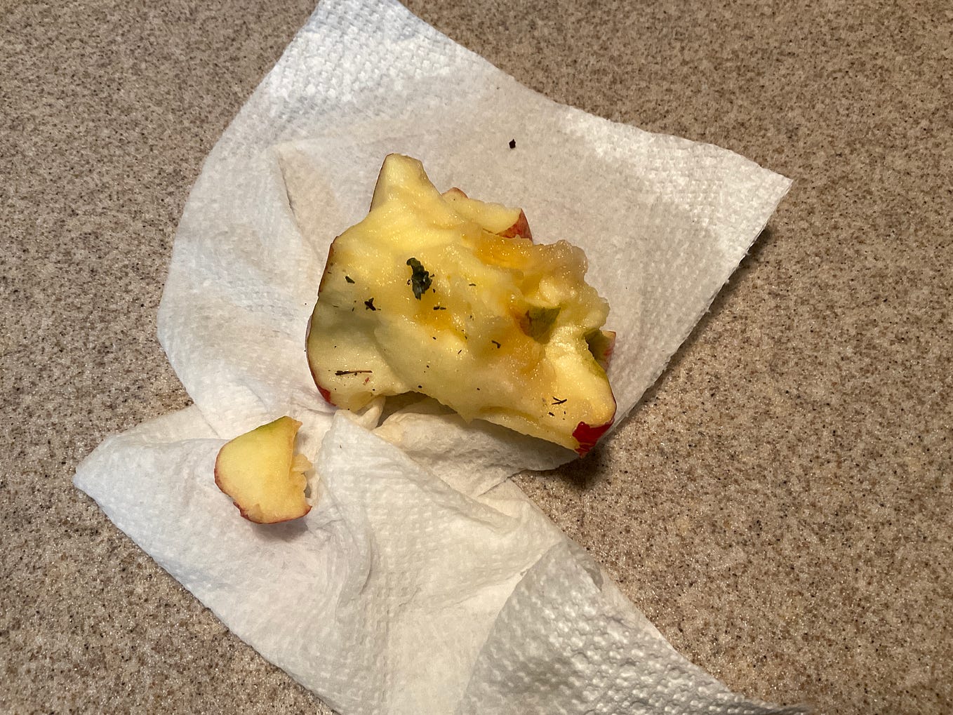 A rotting apple core