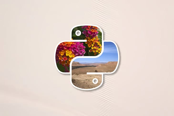 Introduction to Image Processing with Python | by Erika Lacson | Towards AI