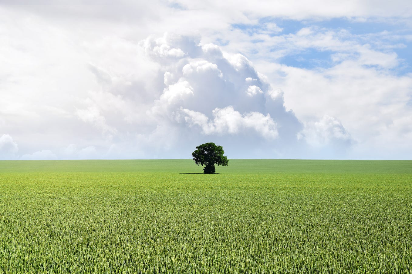 a scream to your scream with my poetry... Thank you for being