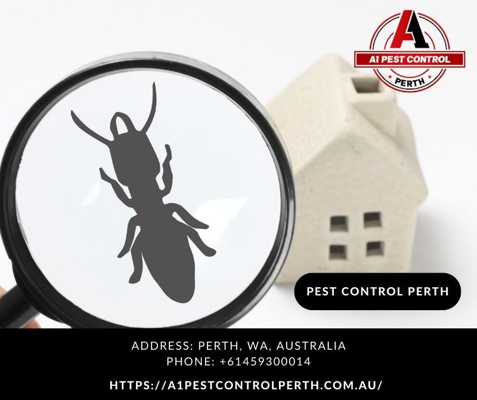 Protect Your Property from Termites with one of the best termite treatment in Perth. A1 Pest