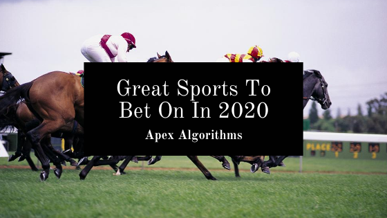 Great Sports To Bet On In 2020