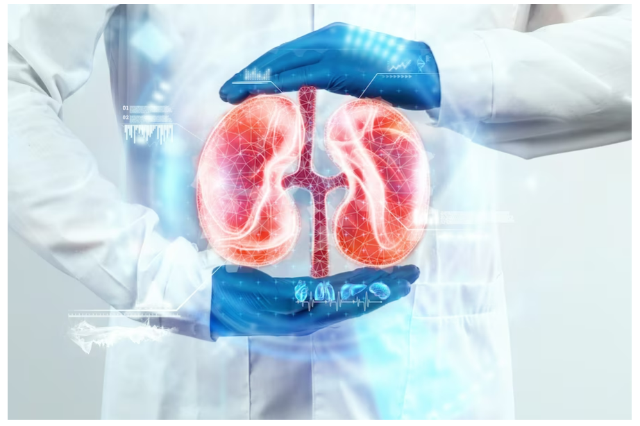 What Tests Are Done to Diagnose Kidney Stones A Comprehensive Guide