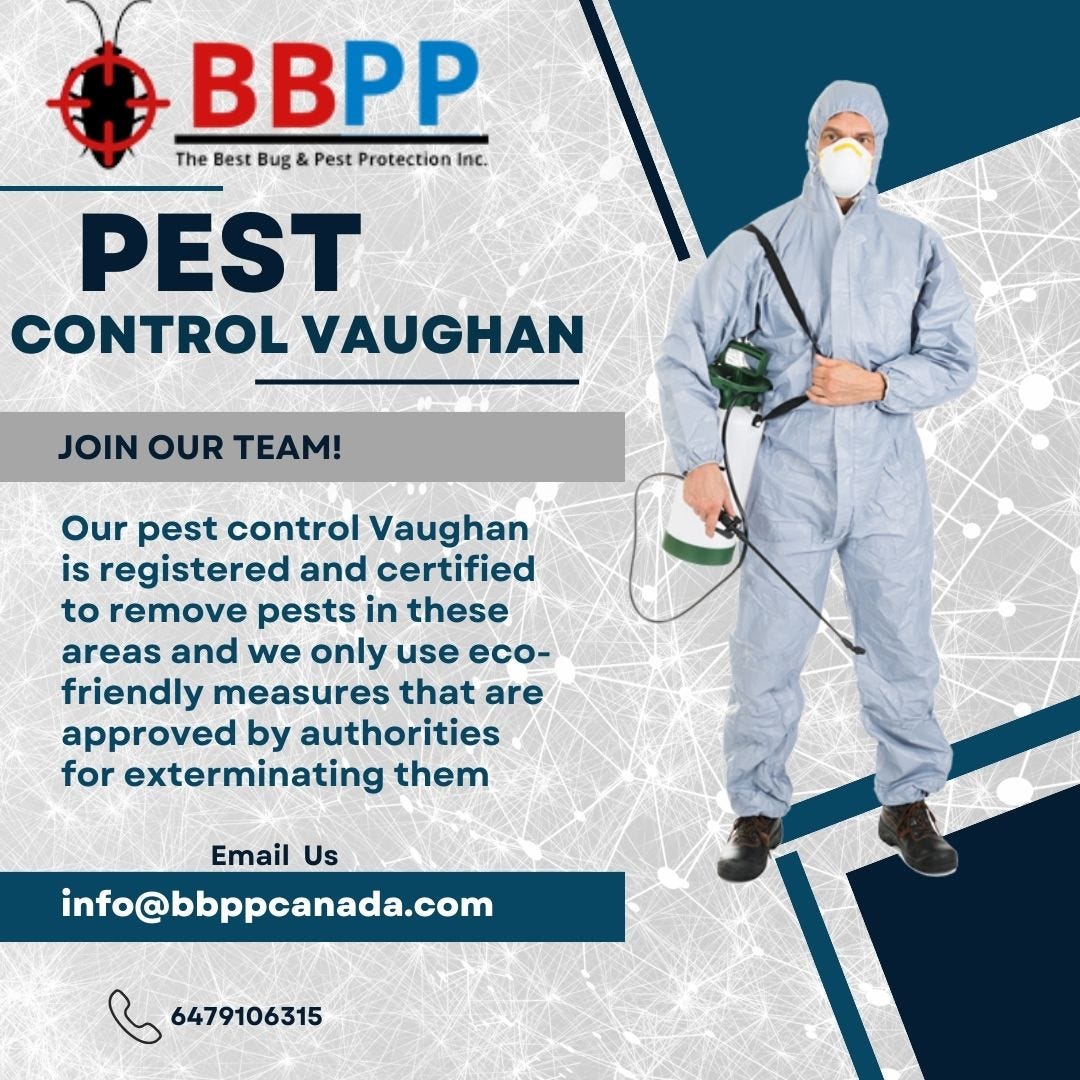 Can Mice Infestation Damage Your Home Structure? by B.B.P.P. PEST