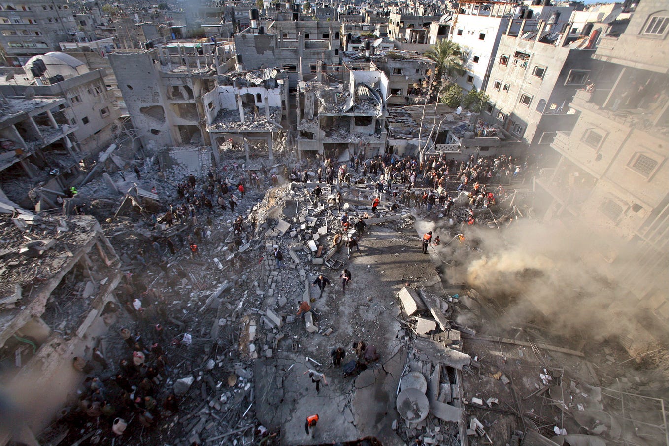 “Palestine is not an environment story”