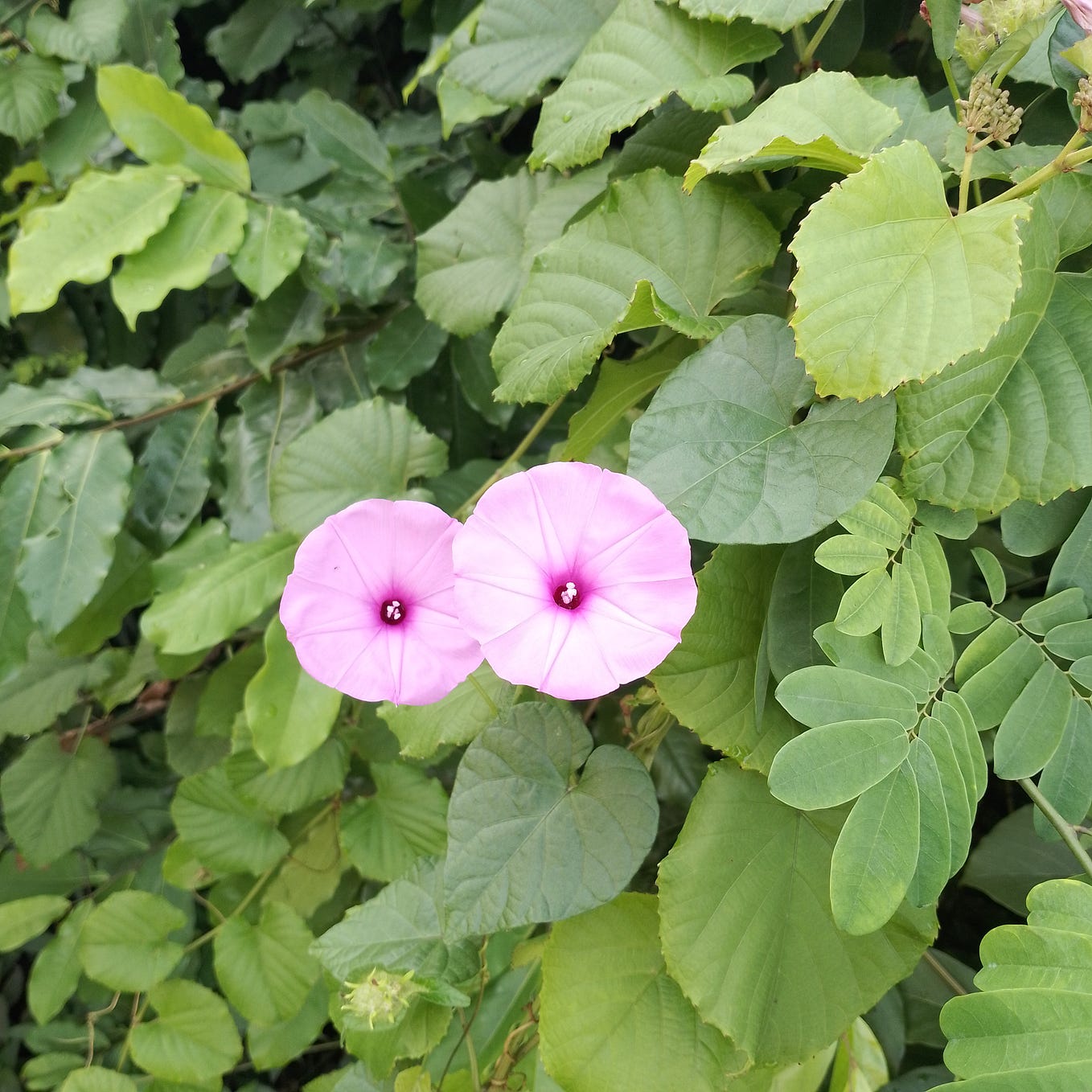 Great Write Up No Matter How Good You Are At What You Do If A Person great-write-up-no-matter-how-good-you-are-at-what-you-do-if-a-person