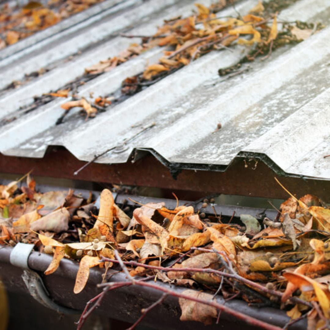 Choose the Right Rain Gutter Installation in Charleston, SC Gutter