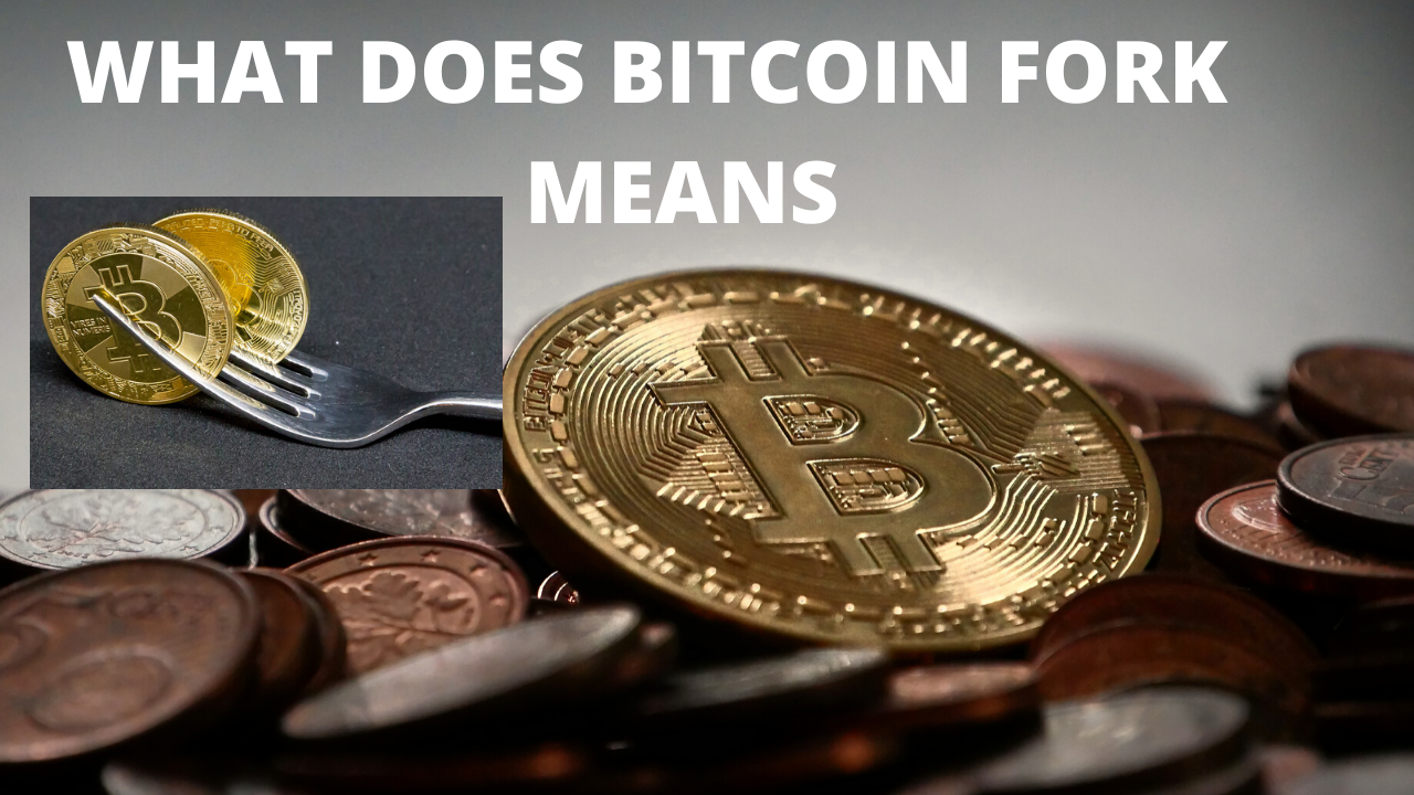 What is Bitcoin halving. Now I’m going to talk about what is… by