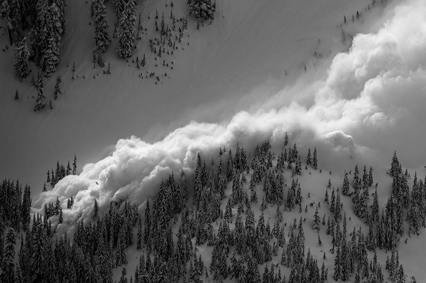 AAS— Who we are. Where we are going. Blaine Smith interview by Alaska