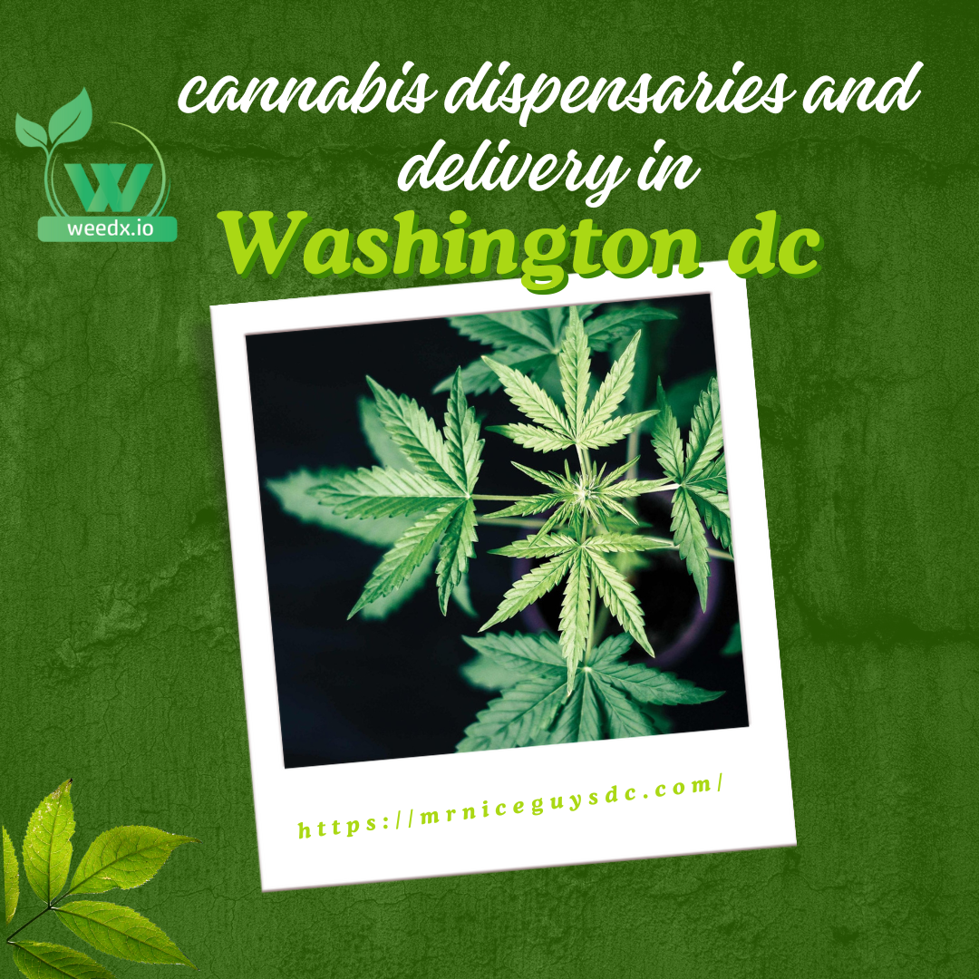 Exploring Recreational Weed Stores and Delivery Services in Washington