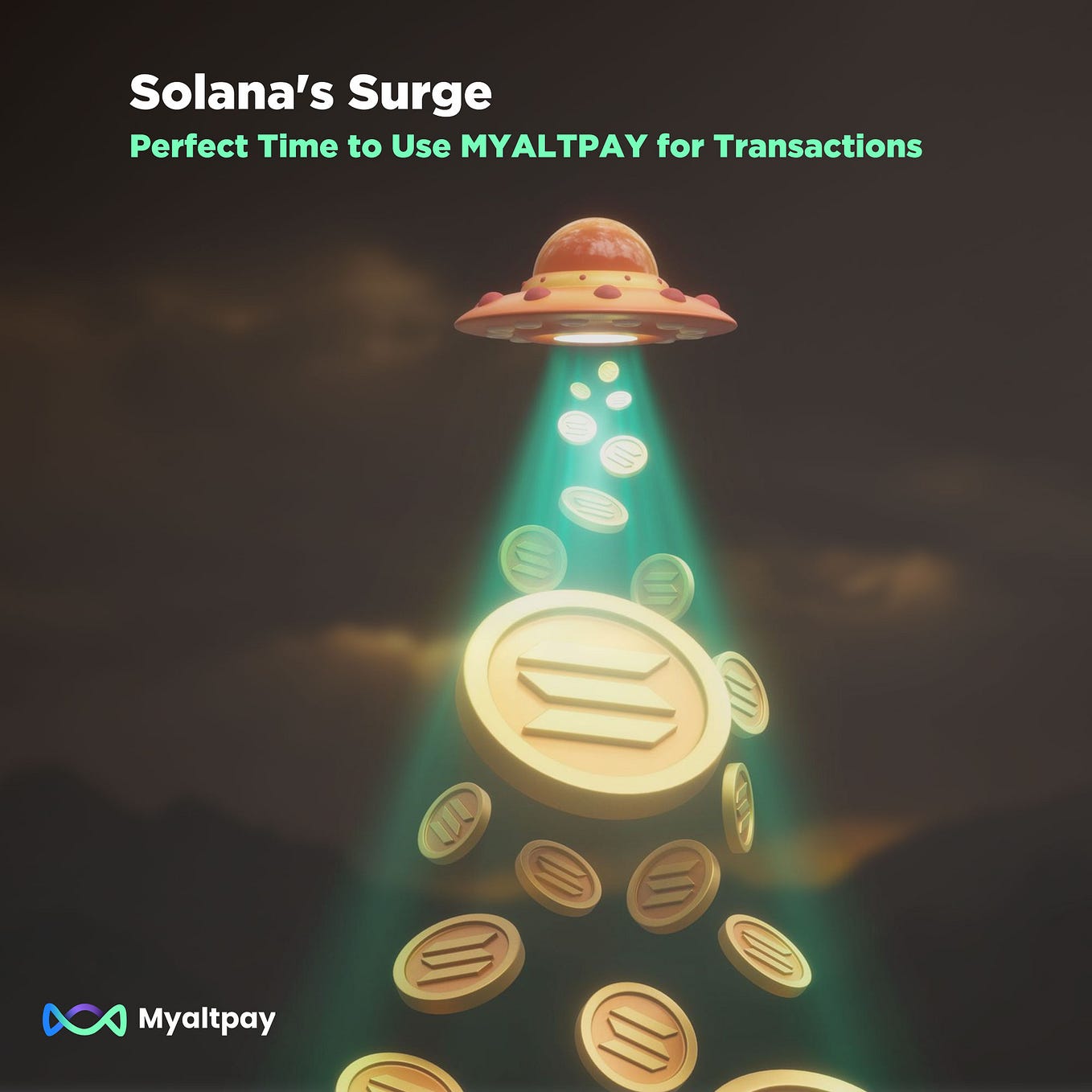 Hold onto your leashes! Looking to navigate the crypto world with ease