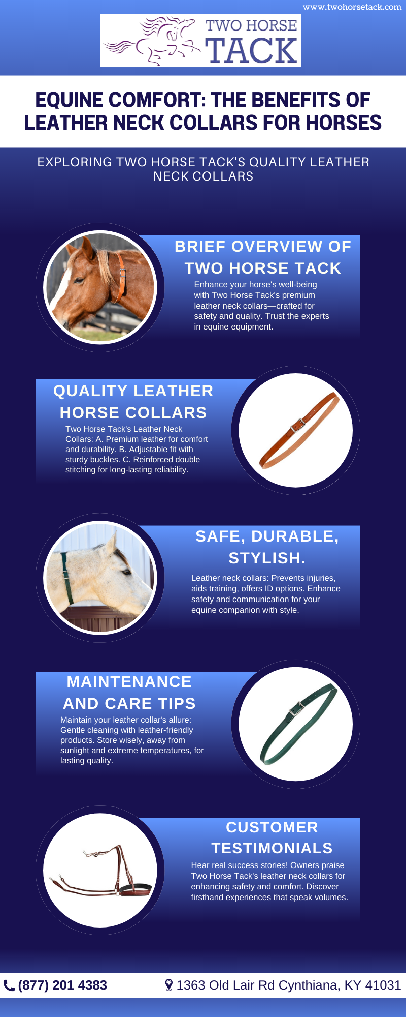 Understanding Horse Harness A Guide to Traditional Equine Equipment