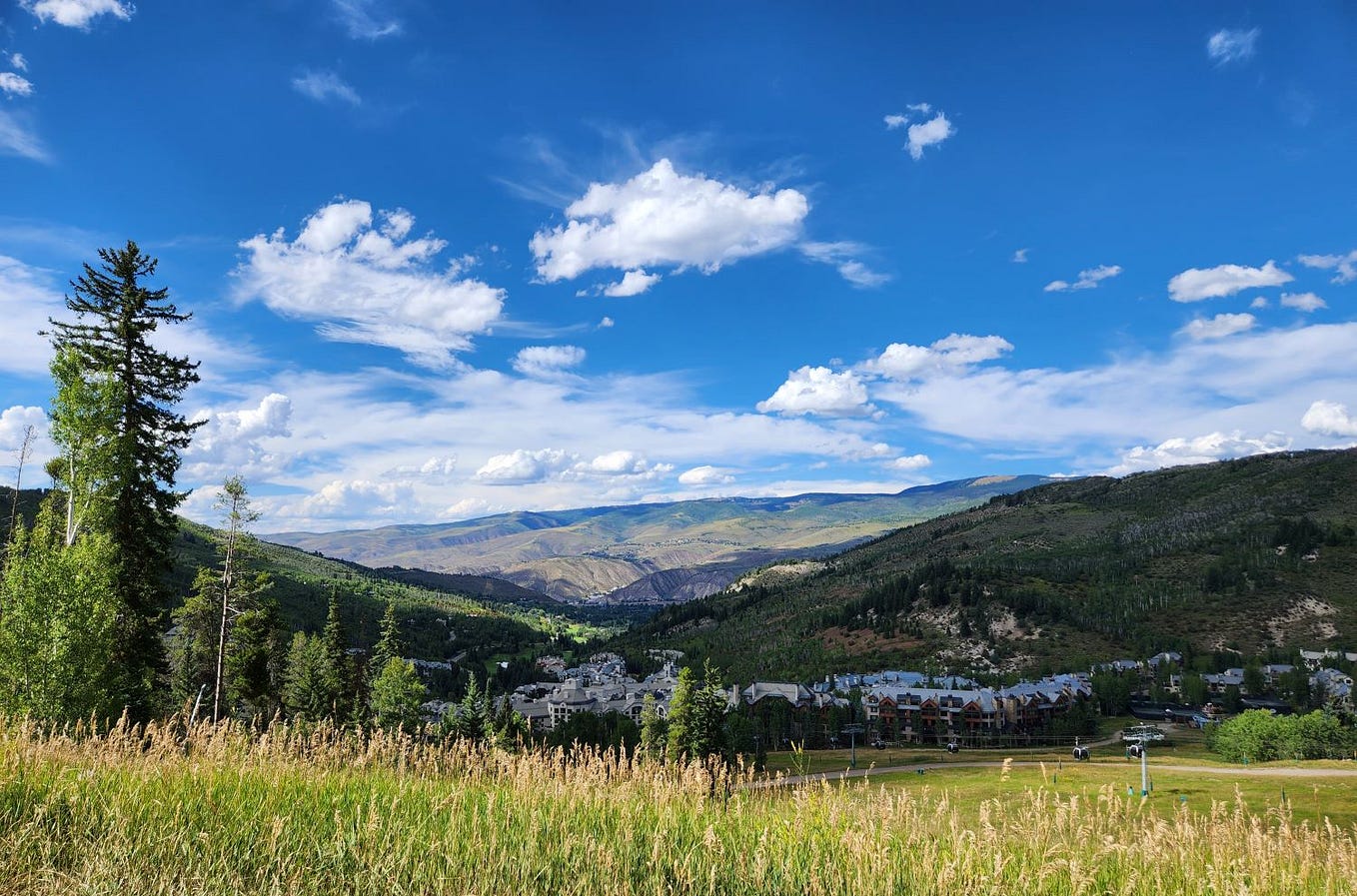 View of mountains with the town of Beaver Creek, Colorado in foreground under blue sky with white clouds, a tall evergreen, and green grass.