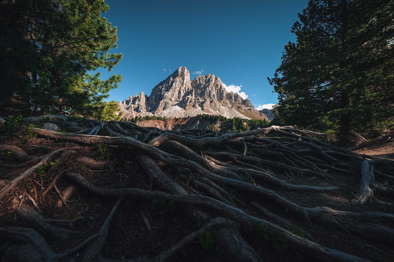 The Power Of Repetition How It Shapes And Creates New Habits In Humans