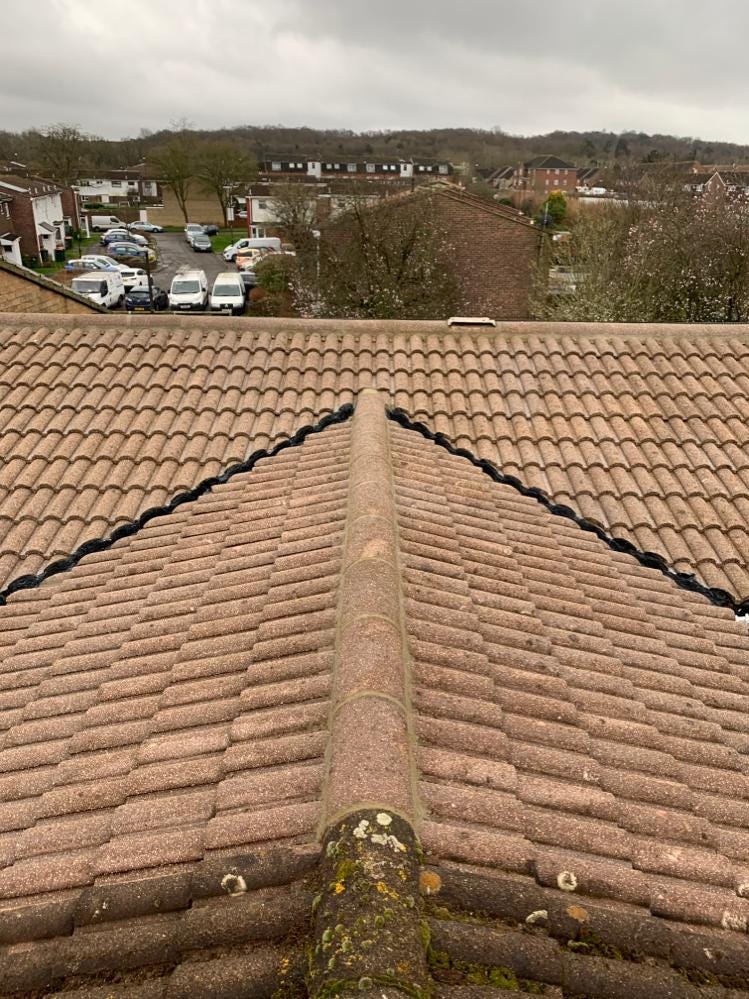 Keep your property safe with moss and mould roof treatment by Local