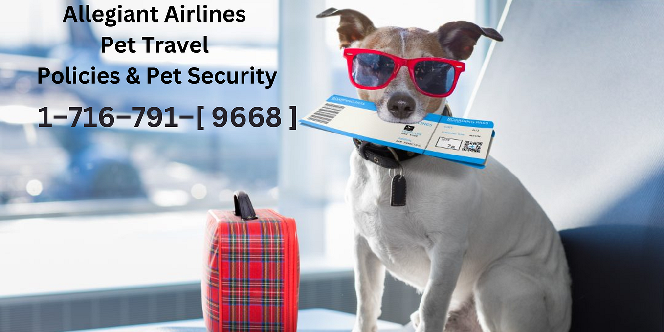 Allegiant Air Check in Policy & Seat Selection 1716791(9668