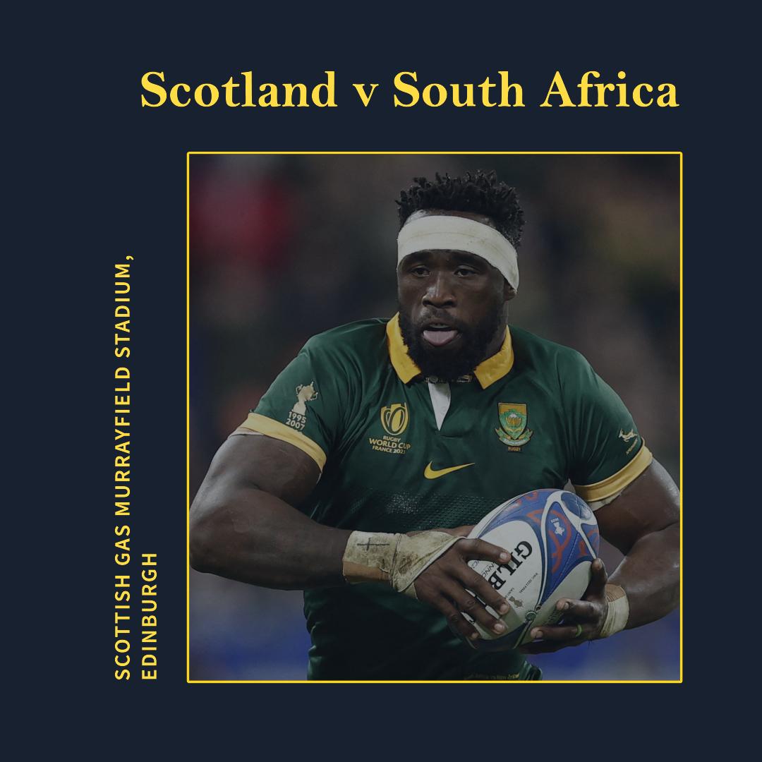 South Africa vs Scotland Rugby 10/11/2024 by South Africa vs England 16 Nov 2024 at Twickenham