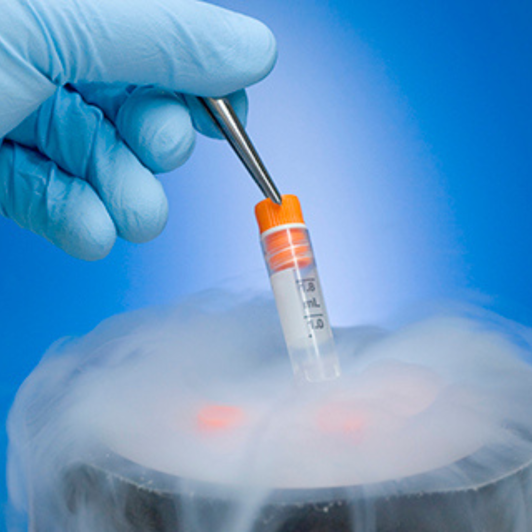 Understanding the Pros and Cons of PGTA Audubon Fertility