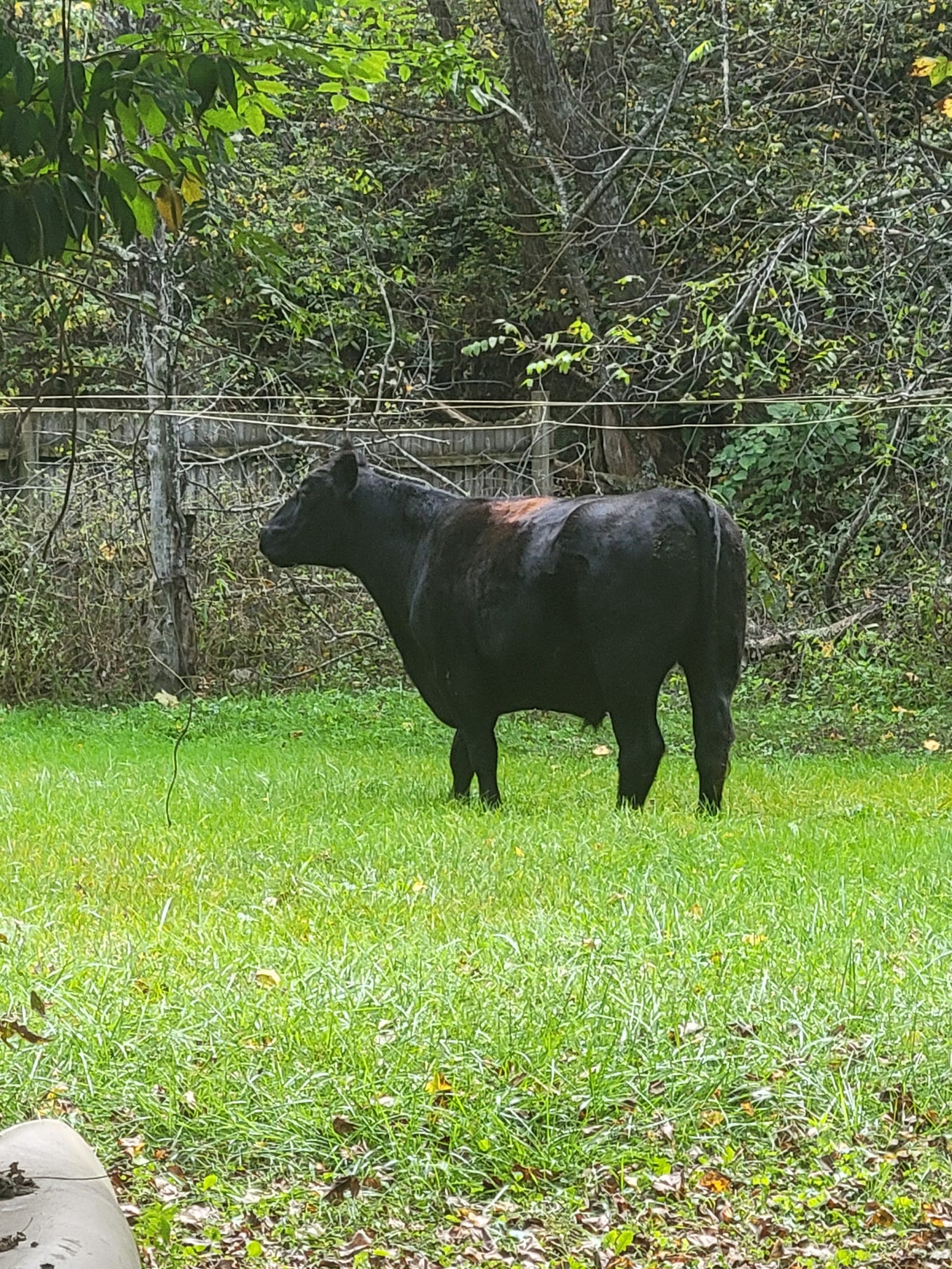 We do so much every day, but stepping back whenever possible is