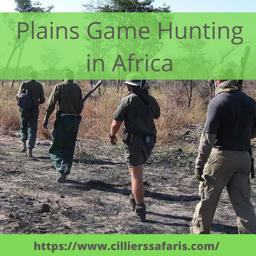 Plains game hunting Packages Cillierssafaris Medium