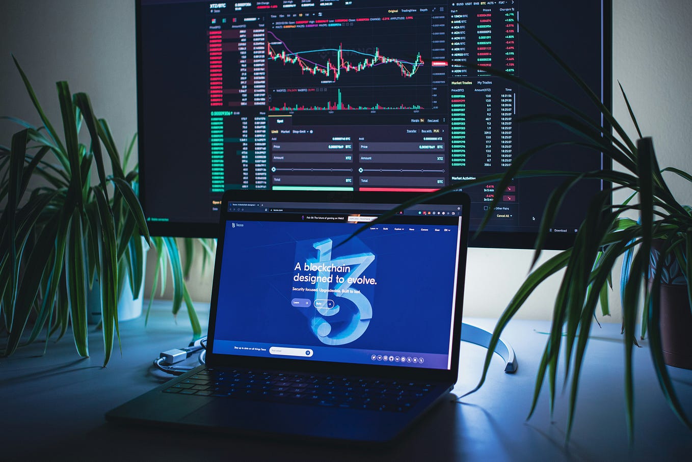 Building Your Own Cryptocurrency Price Tracker with Python: A Step-by ...