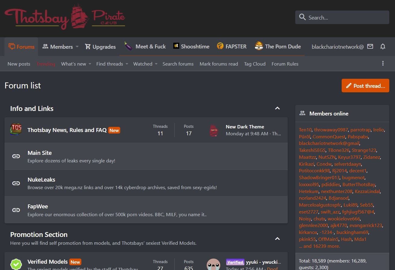 How to Access Thotsbay? Features, Benefits, Pros & Cons | by Andrew Smith |  Medium