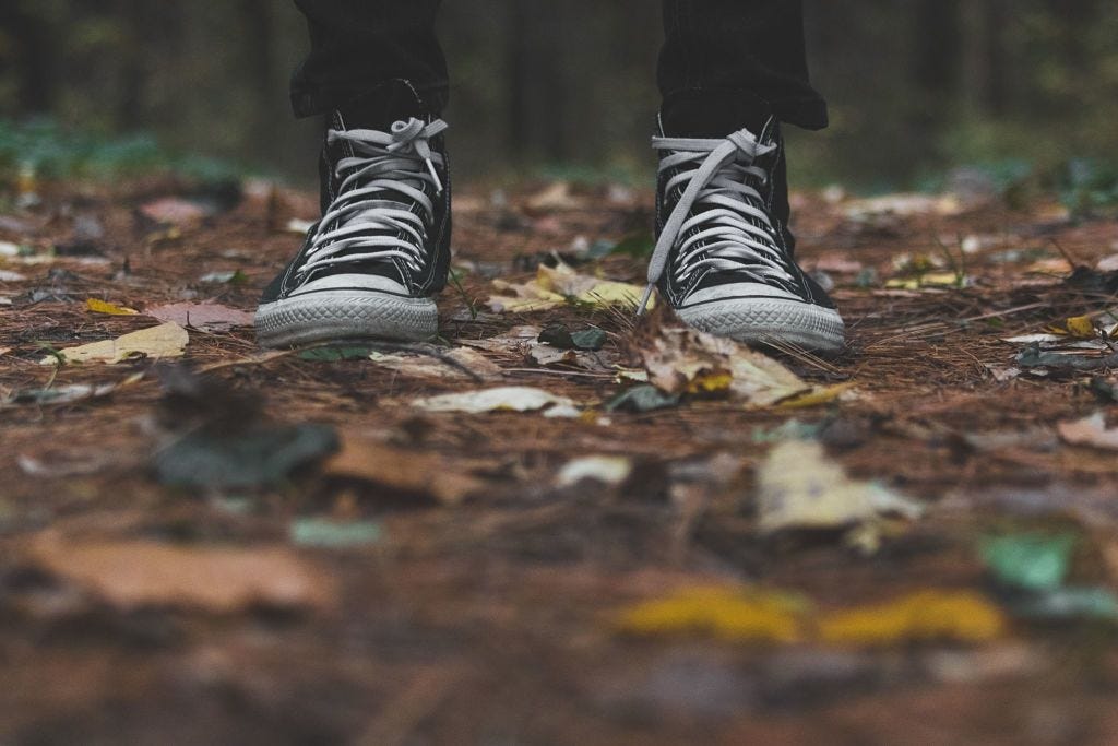 Paredes Salamander - Marrón - Zapatillas Trekking Hombre