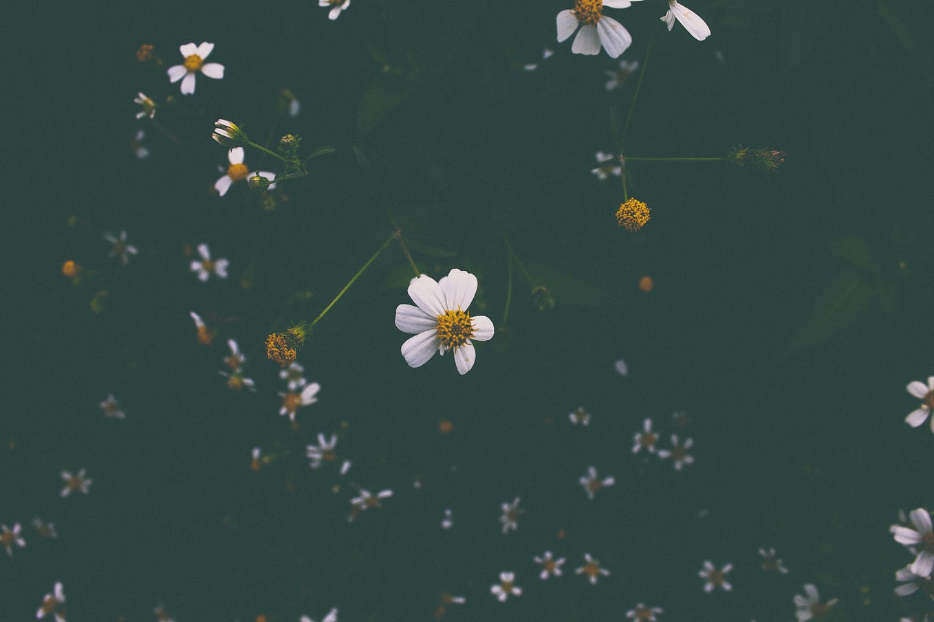 That s The Spirit By Zaira Abbas Medium