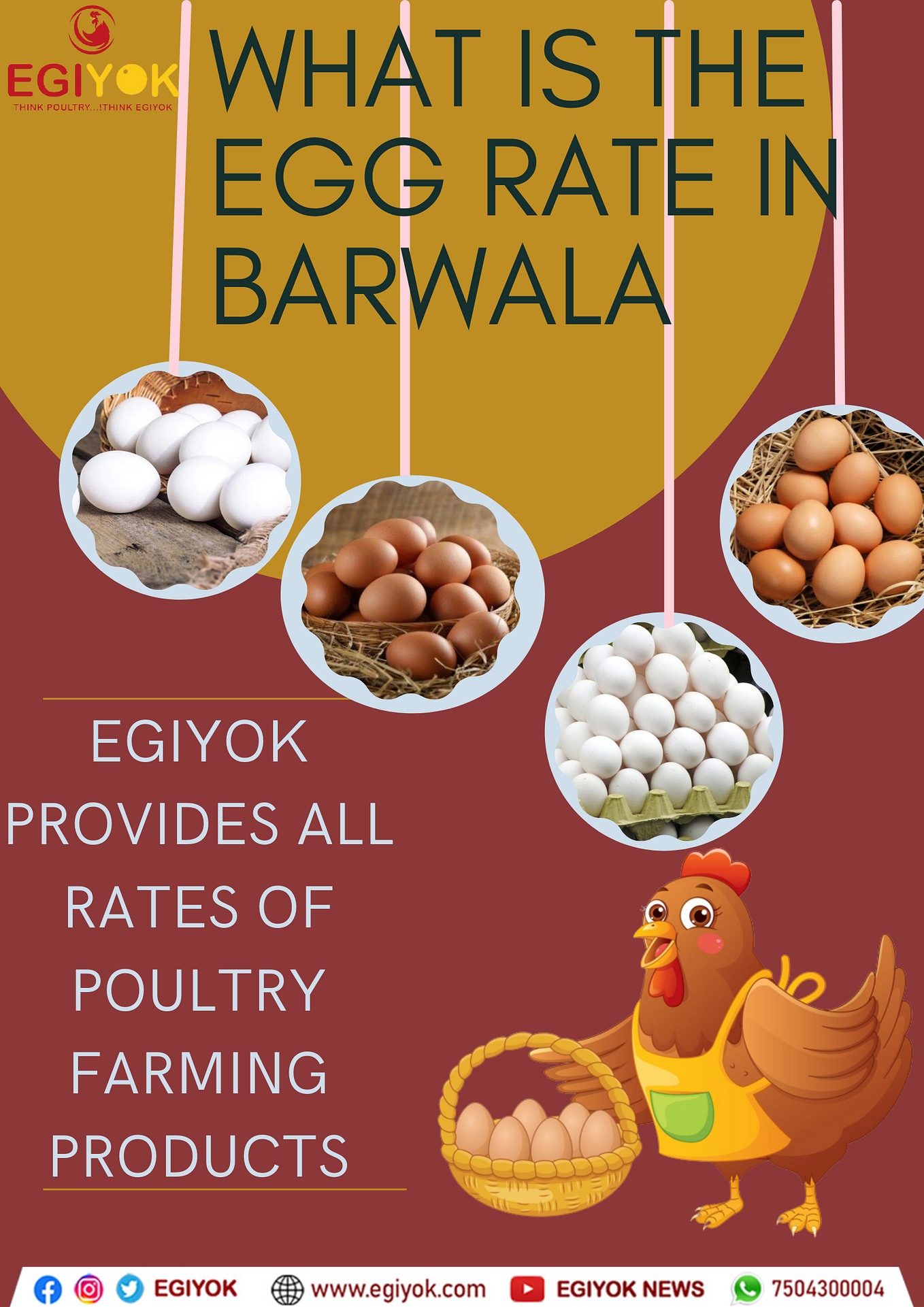 All about Hatchery and incubation by Monika Egiyok Medium