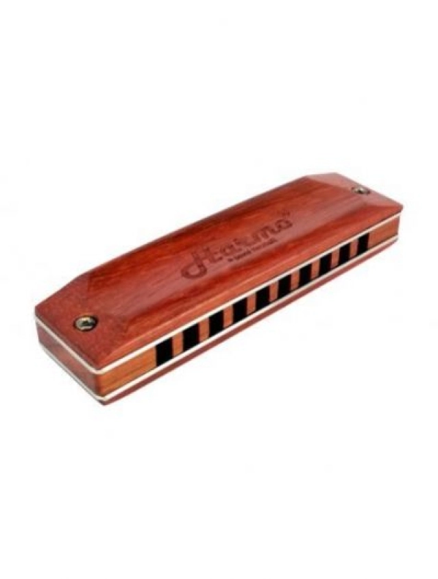 How To Play Hohner Echo Harmonica Quick Tips For Playing With Ease