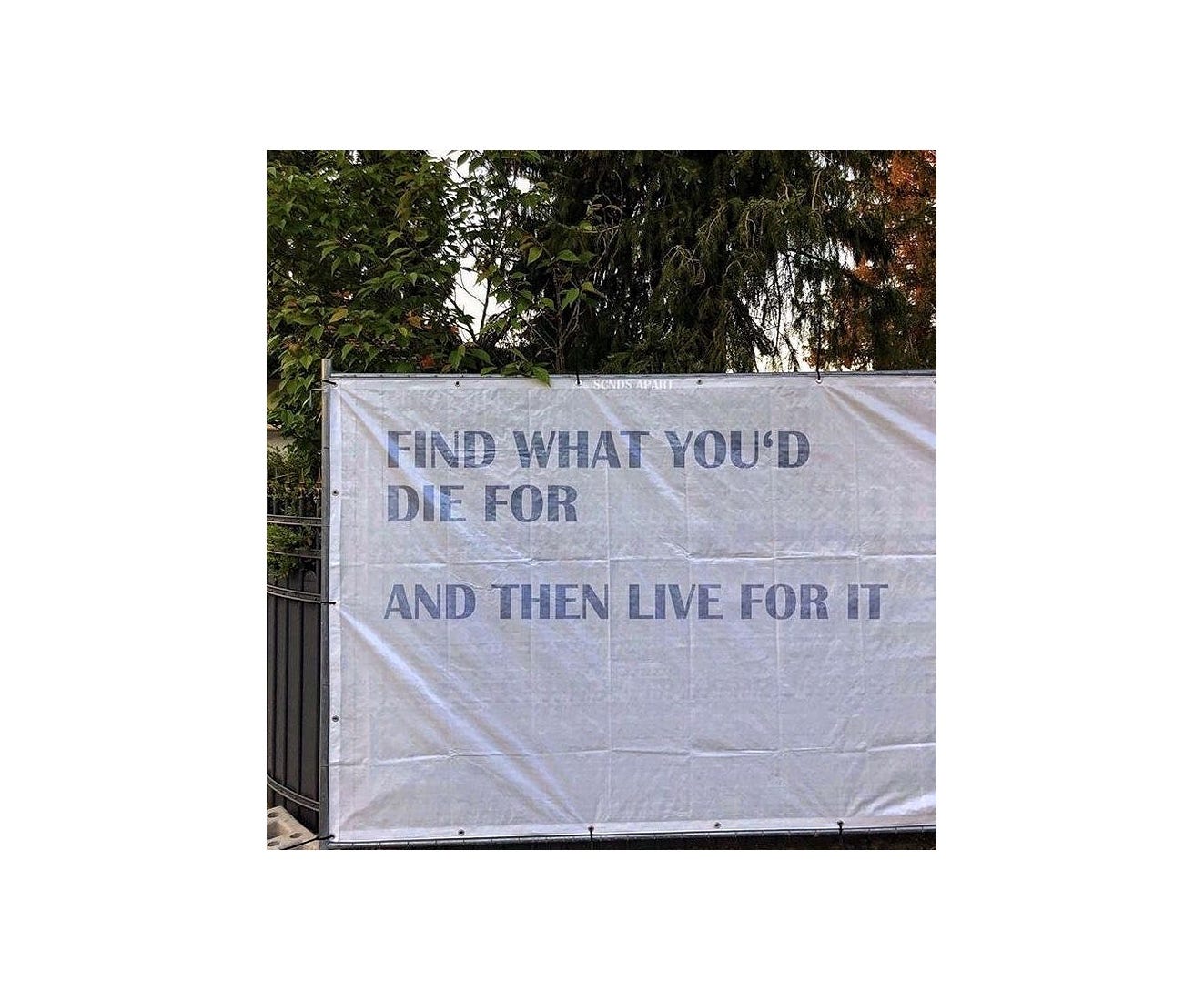 who is your backbone ??. Do you have a person who supports you… by