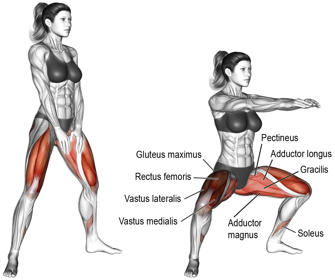 Blast the Inner Thigh While Building Strength, by Built Strong Strength  Club