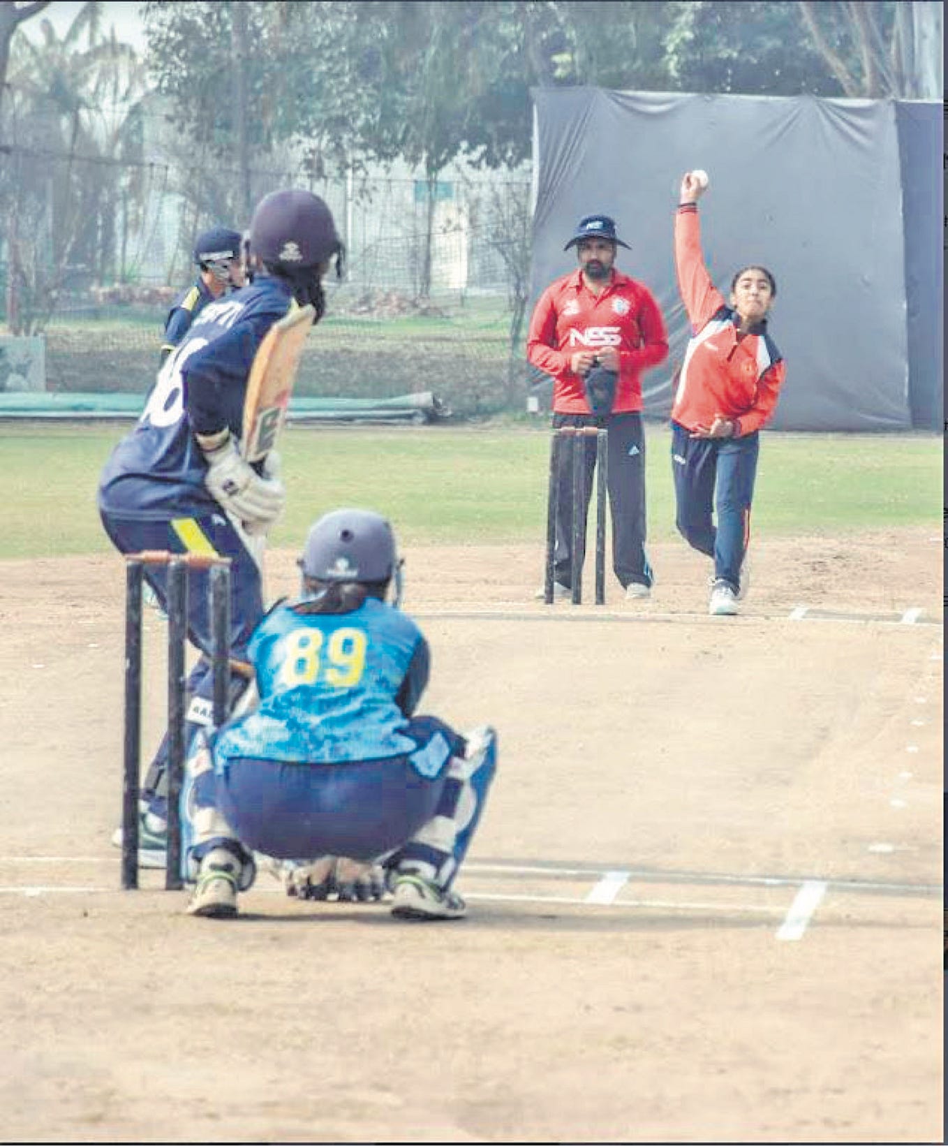 When and where are goat numbers are increasing? Allahnawaz Medium