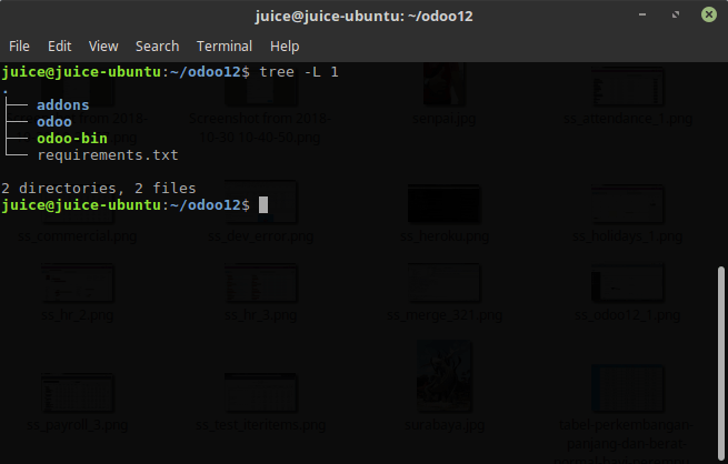 Install Odoo 12 and Wkhtmltopdf on Ubuntu 18.04 or Debian 9. | by Hendra  Juice | Medium