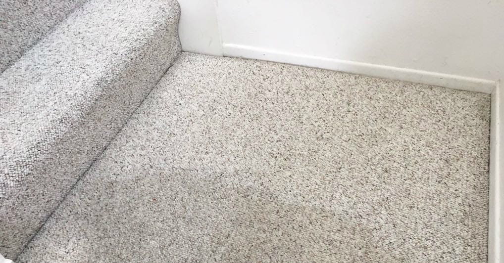 First Class Cleaning. Carpet cleaning service in Mission… by RICH MOR