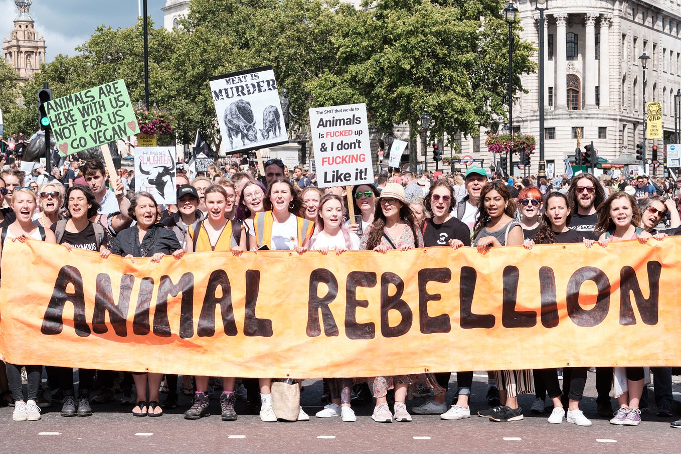 Joining the dots: Animal exploitation, human oppression and ...