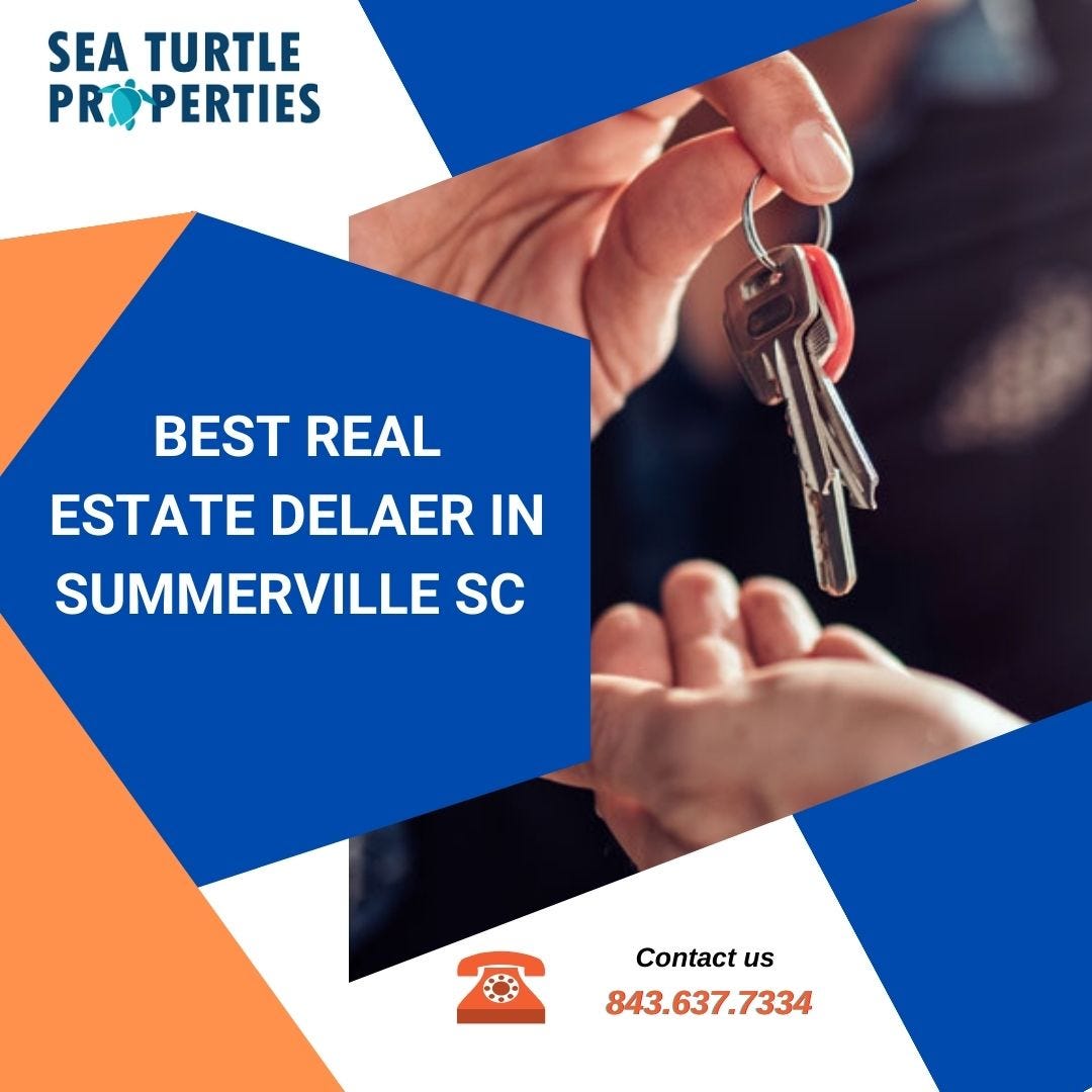 Top Real Estate Agents in Summerville, SC Sea Turtle Properties Medium