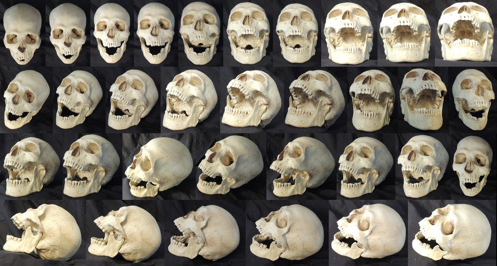 Skullfuck You Very Much: Cultural Authority and the Dispossessed