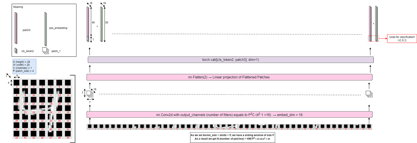 Mastering U-Net: A Step-by-Step Guide to Segmentation from Scratch with ... image.