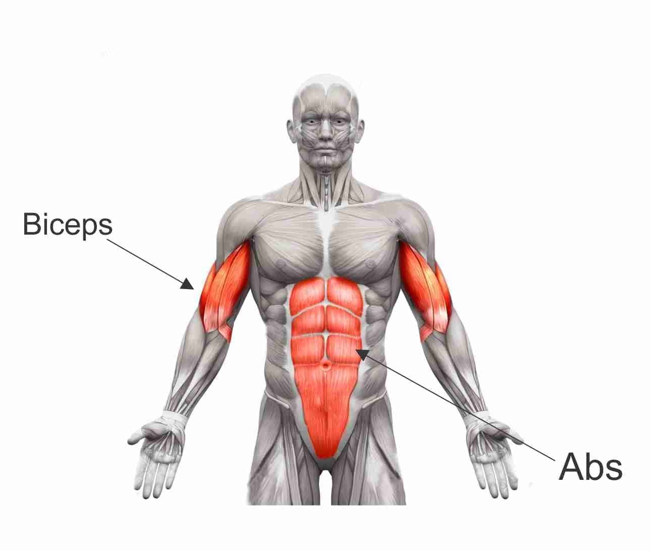 Cable squat deals