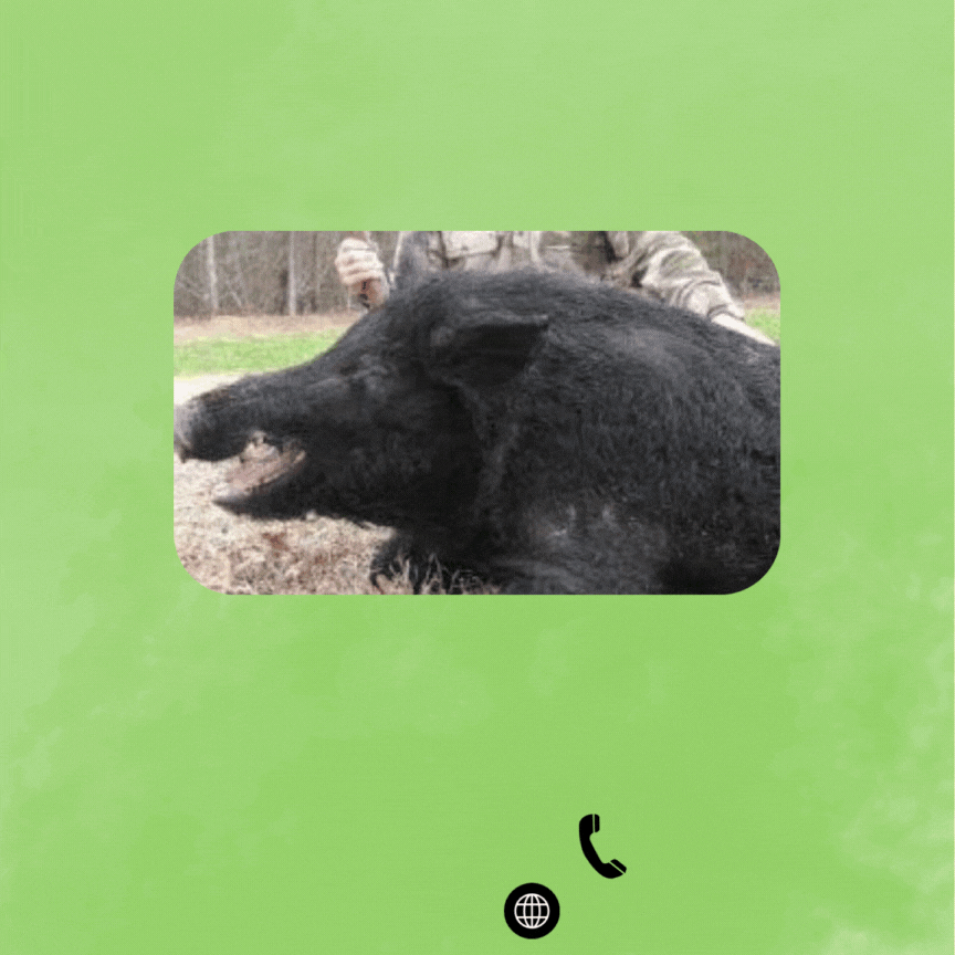 Hog Hunting Guides WOODSNWATER INC Medium
