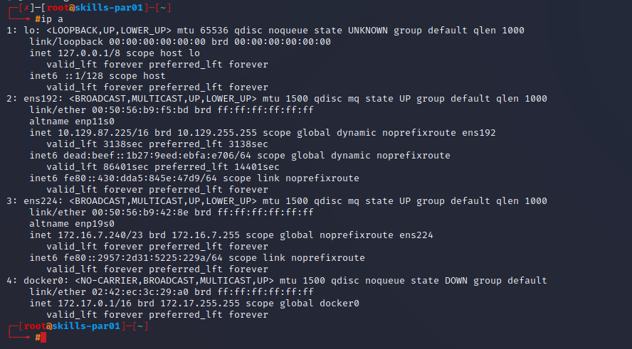 Linux host ifconfig