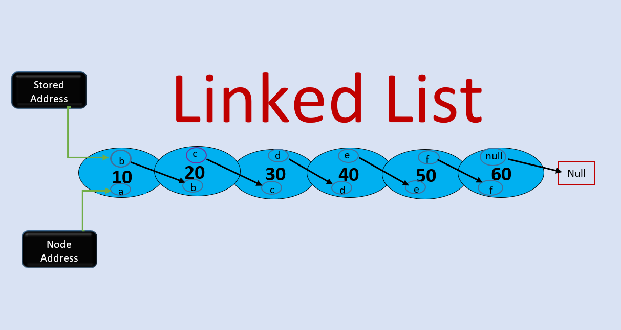 Best application of Maxin! TAYAB Medium