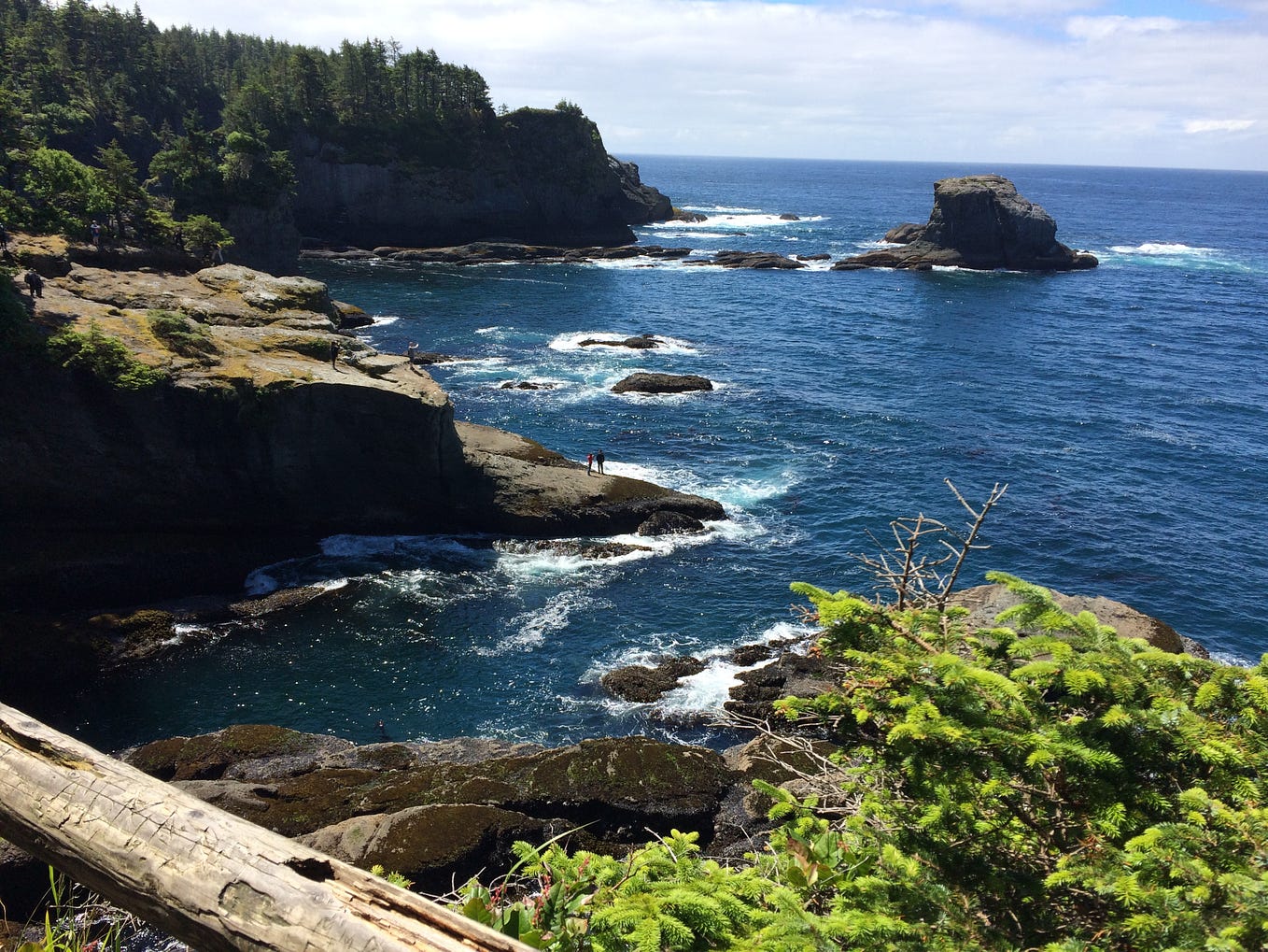 An ocean view over a cliff surrounded by trees in Cape Flattery, Washington